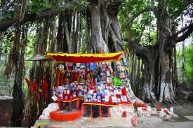 Most Visited Places in Gaya – Temples, Caves & Landmarks 9 Pretshila Hill